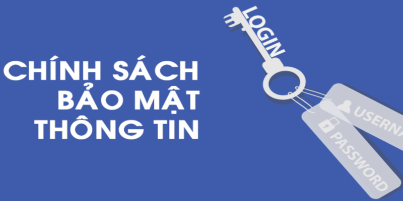Các cập nhật được ban hành trong chính sách áp dụng năm 2024
